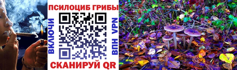 купить наркоту  Балей  Галлюциногенные грибы прущие грибы 